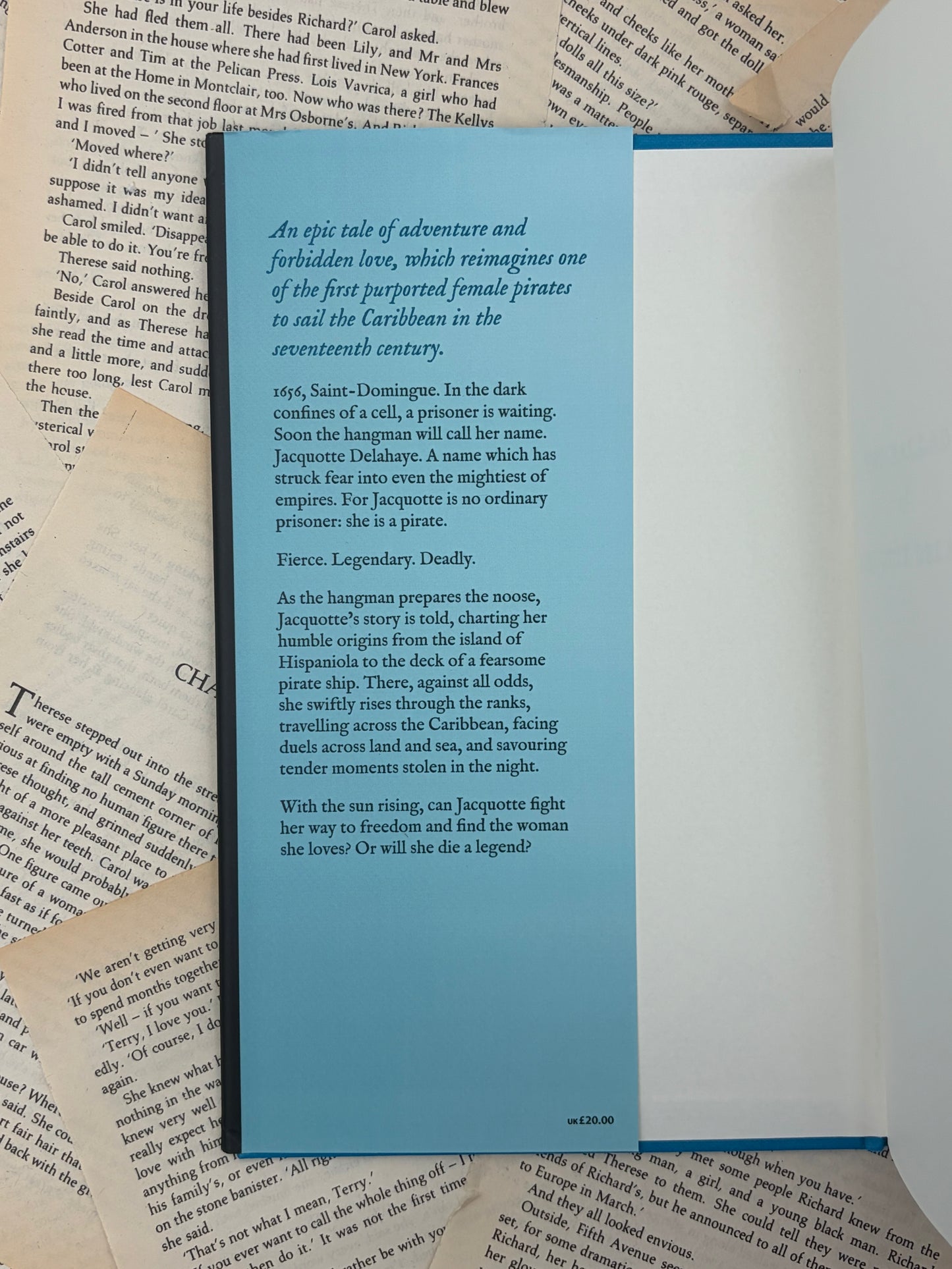 THE BALLAD OF JACQUOTTE DELAHAYE - BRIONY CAMERON - HARDBACK