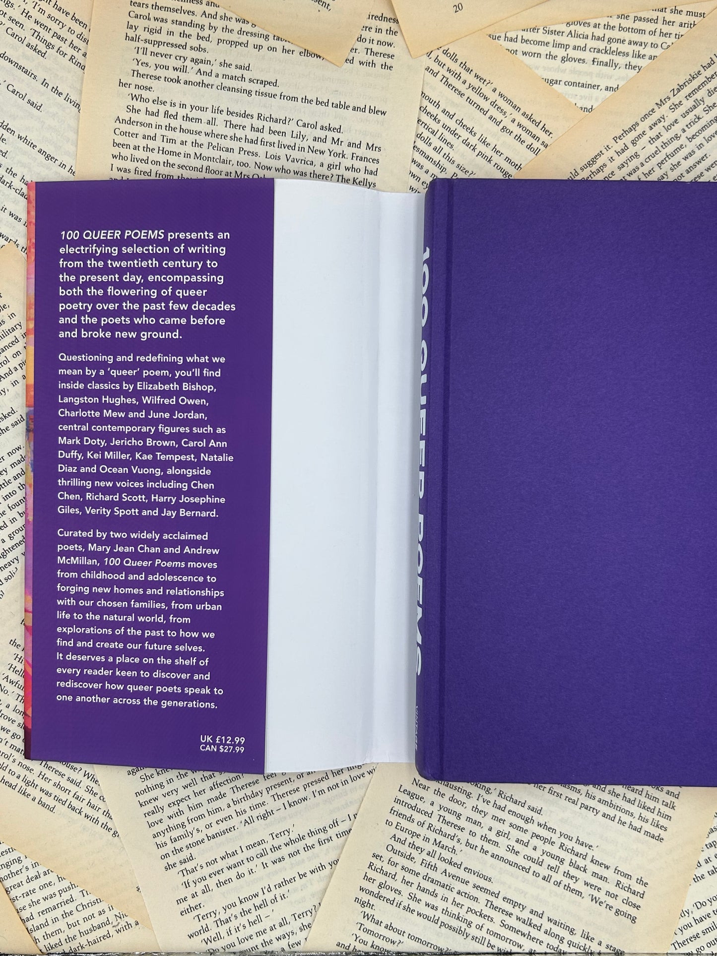 100 QUEER POEMS - MARY JEAN CHAN & ANDREW MCMILLAN