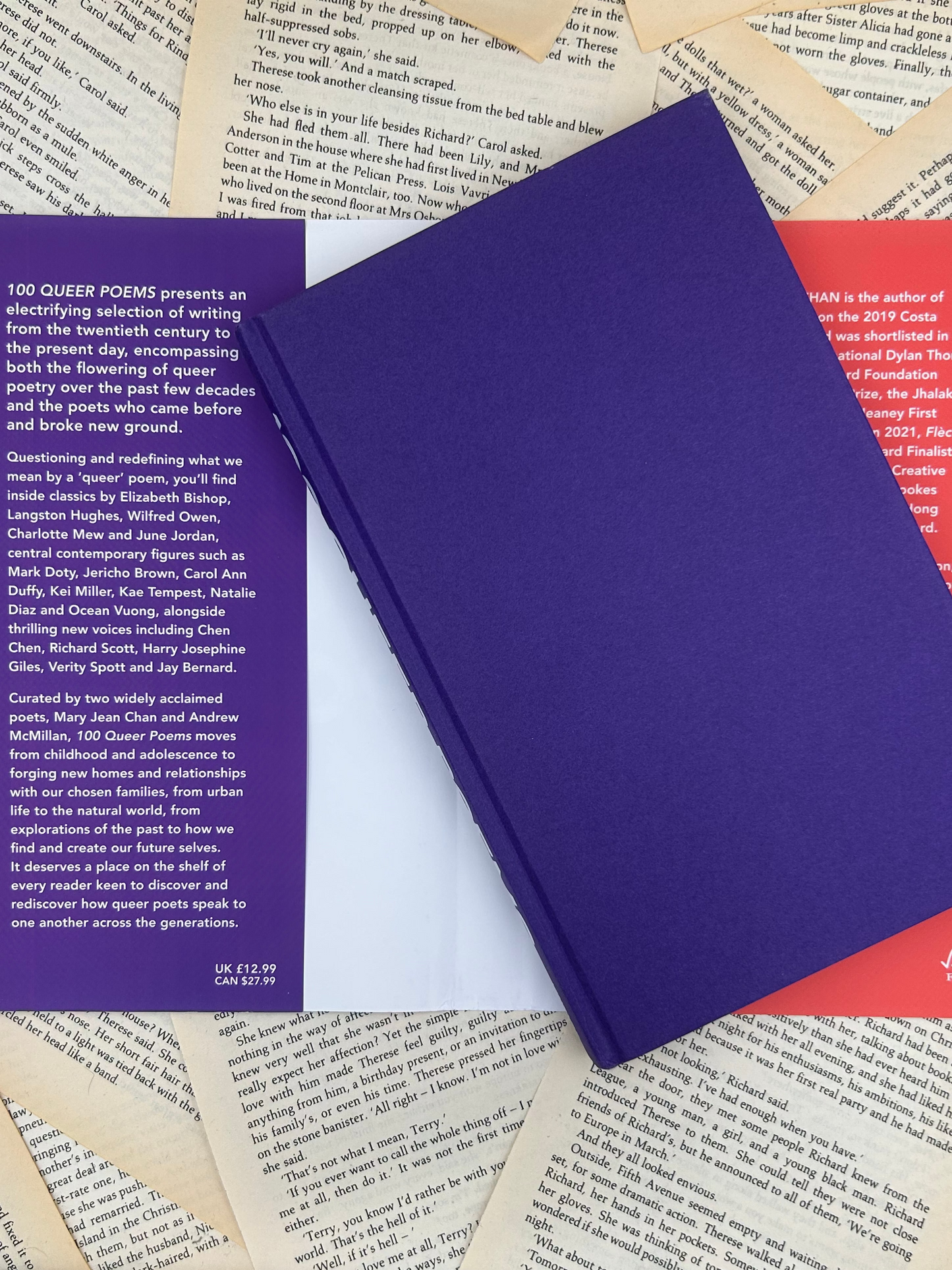 100 QUEER POEMS - MARY JEAN CHAN & ANDREW MCMILLAN