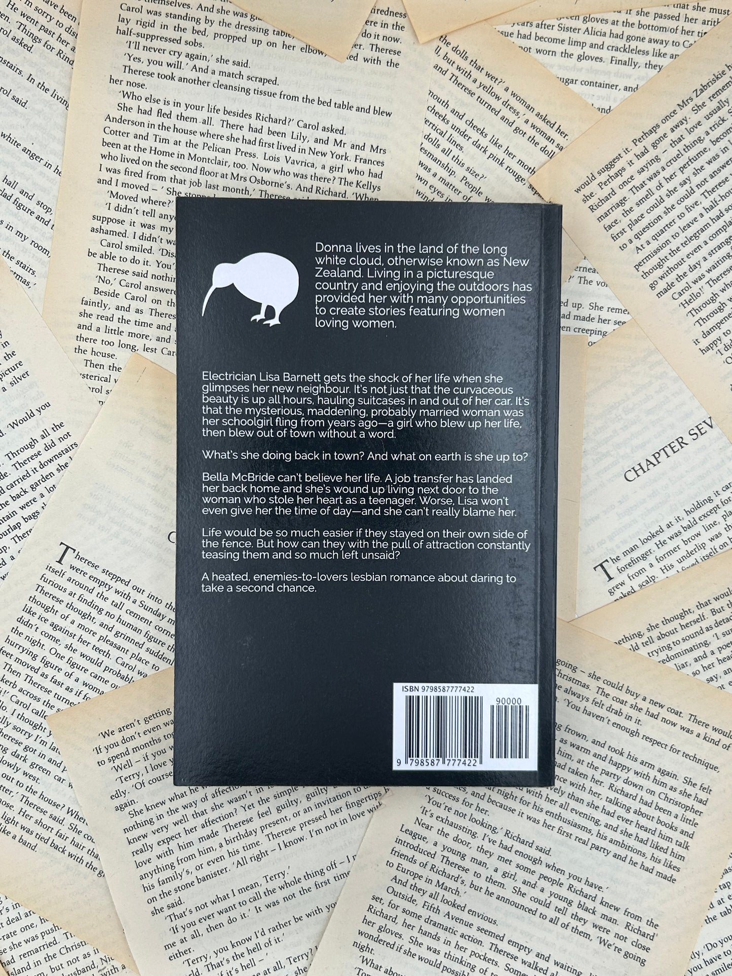 NEW GIRL ON THE STREET - DONNA JAY