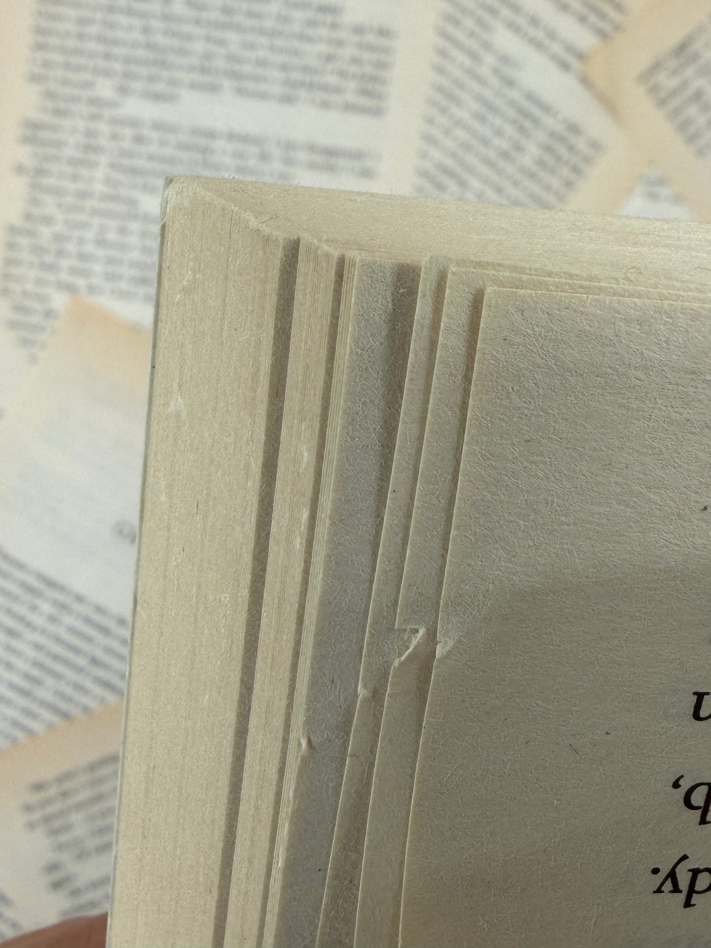 WILDER GIRLS - RORY POWER