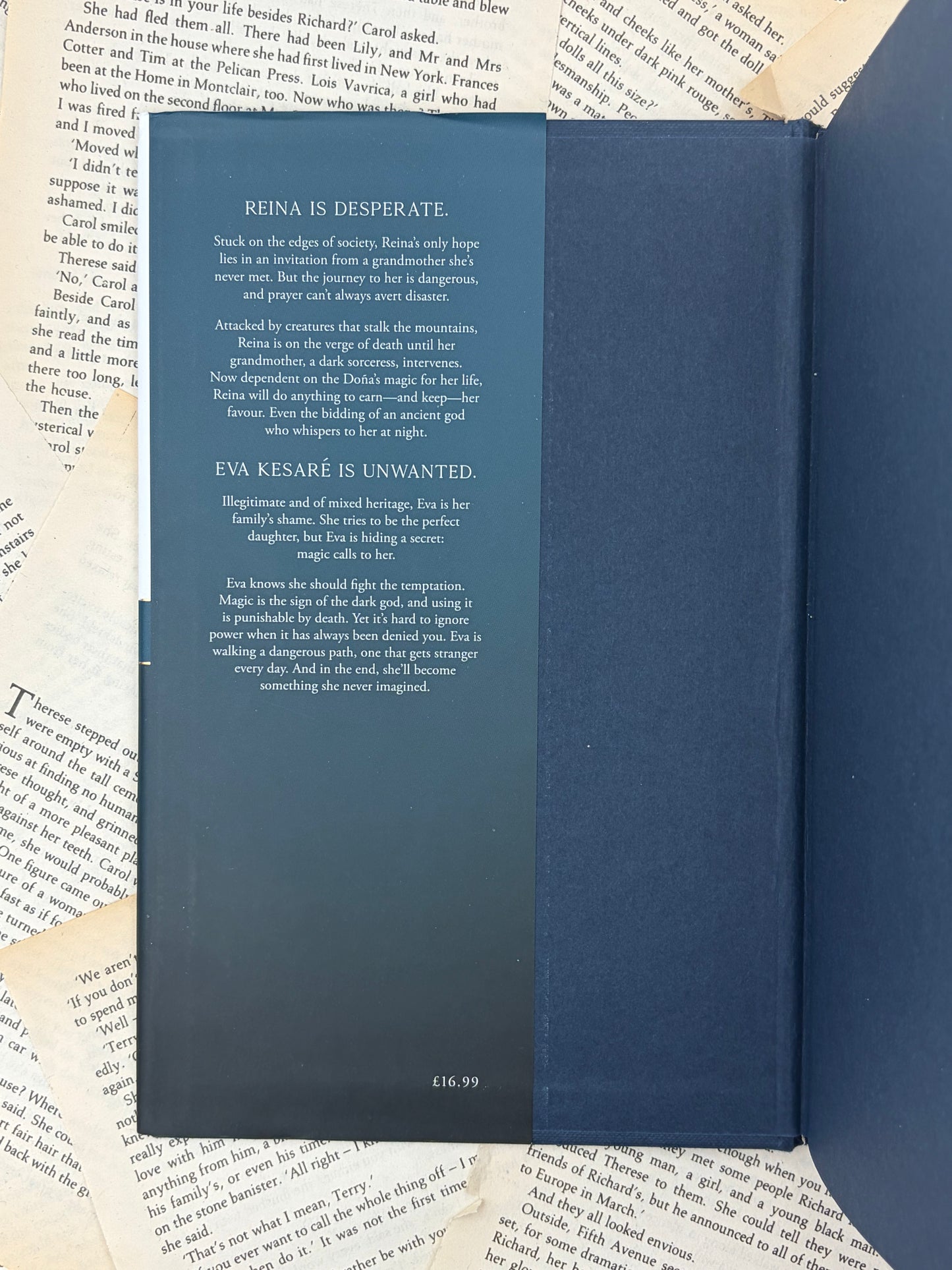 THE SUN AND THE VOID - GABRIELA ROMERO LACRUZ - HARDBACK