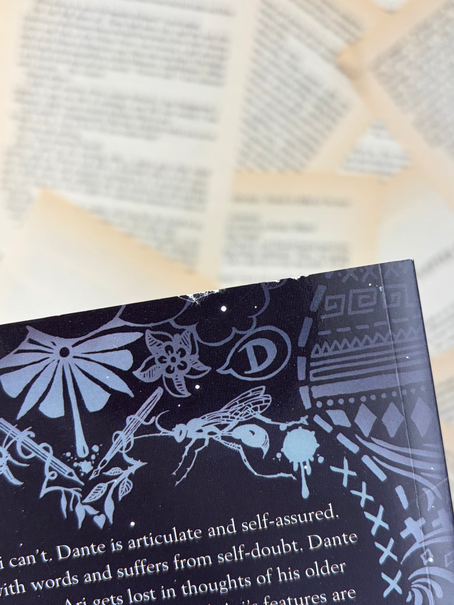 ARISTOTLE AND DANTE DISCOVER THE SECRETS OF THE UNIVERSE - BENJAMIN ALIRE SAENZ